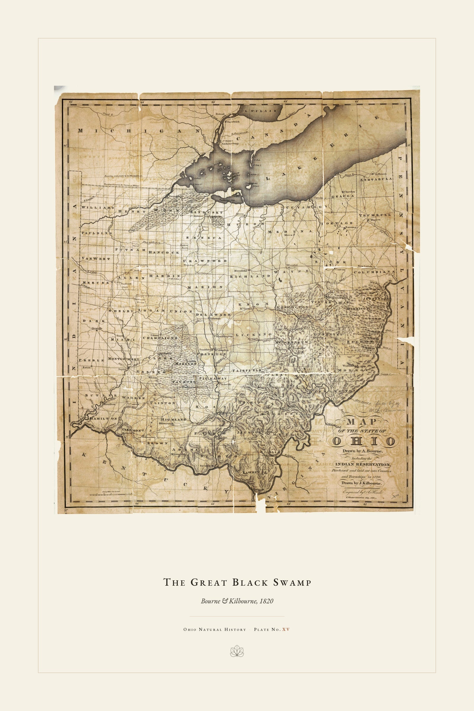 The Great Black Swamp — restored antique historical map on cream. Ohio Natural History Series, Plate No. XV.