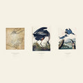 The Swamp Set — The Great Black Swamp, Great Blue Heron and Belted Kingfisher, three 18×24 prints shown together.